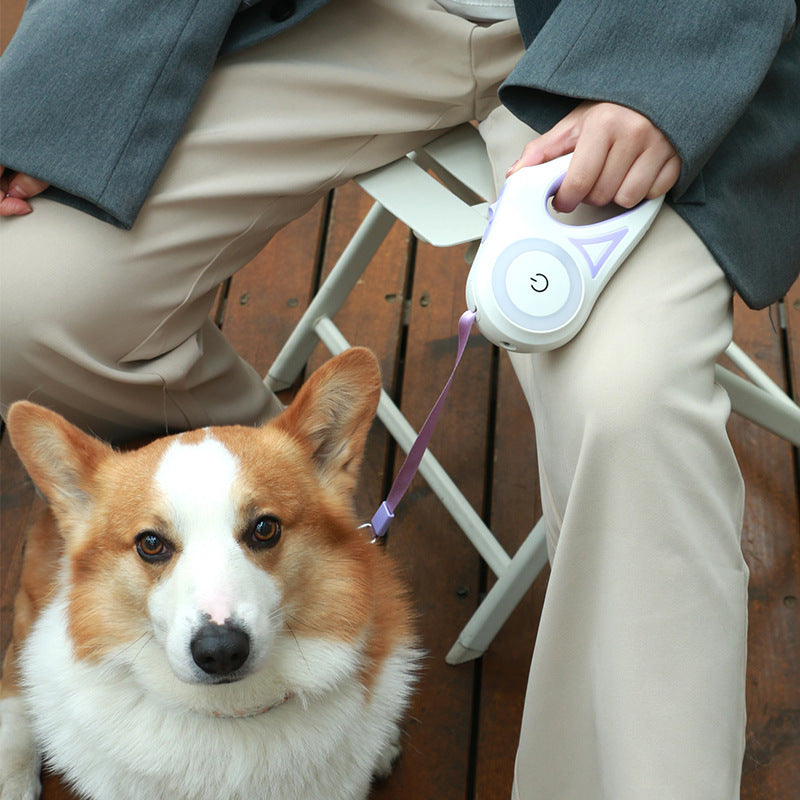 Light the Way & Walk with Confidence: Retractable Leash &  LED Collar Combo